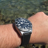 Tudor Pelagos