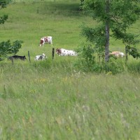 Le Jura actuel Franco-Suisse - Album photo du Paysan-horloger